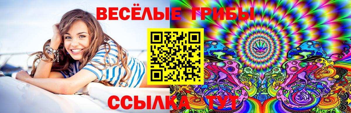 Чапаевск  Псилоцибиновые грибы Psilocybe  как найти наркотики  Вход с VPN 